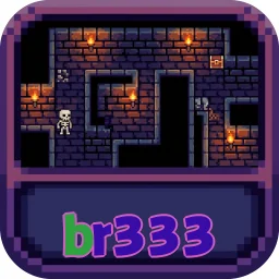 br333